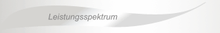 Leistungsspektrum