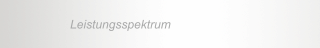Leistungsspektrum